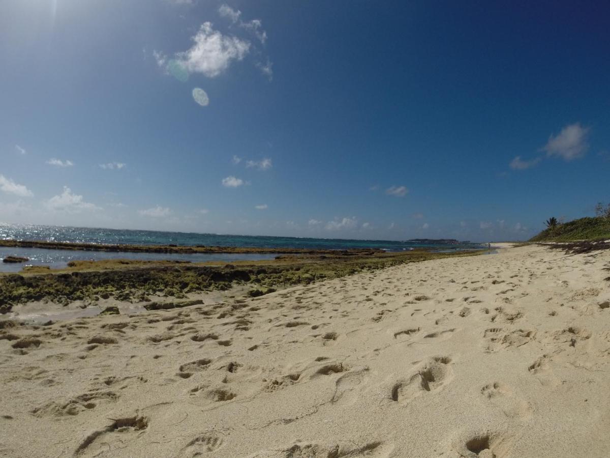 Bungalow Vanille Pacane - Vue Mer Avec Spa Prive Les Trois-Ilets Bagian luar foto
